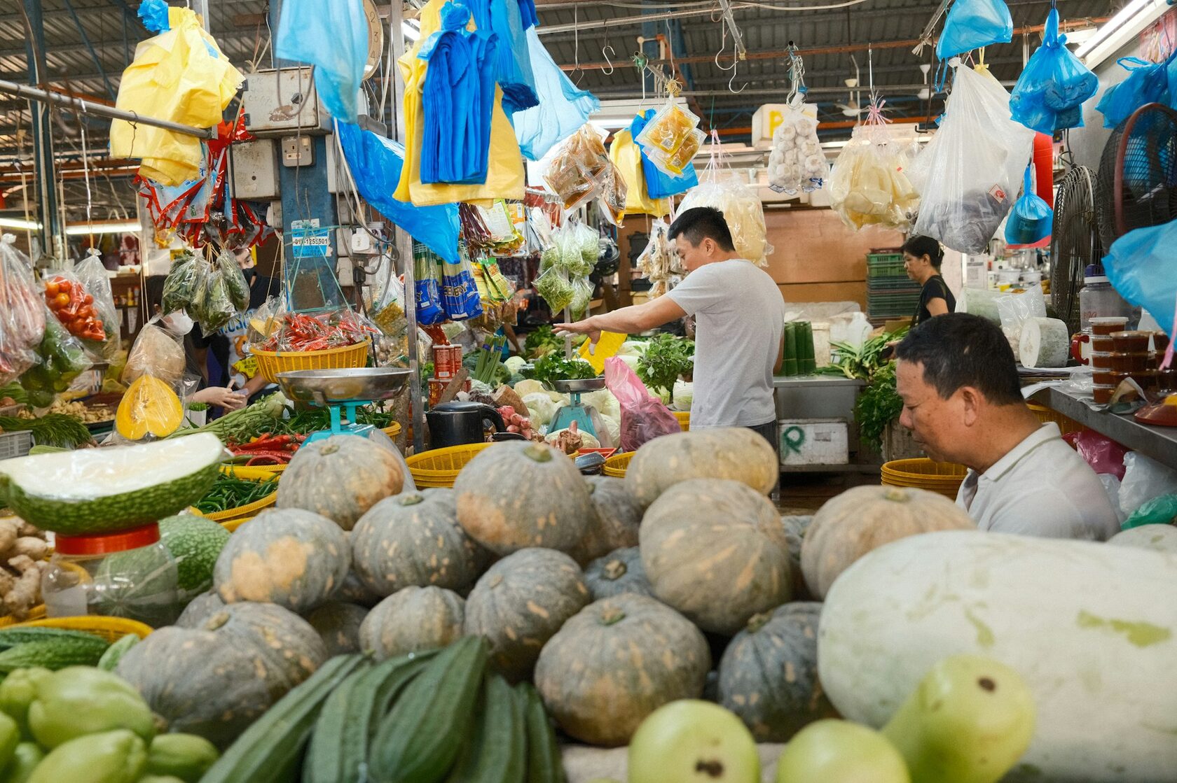 Catador seleccionando fruta fresca de temporada